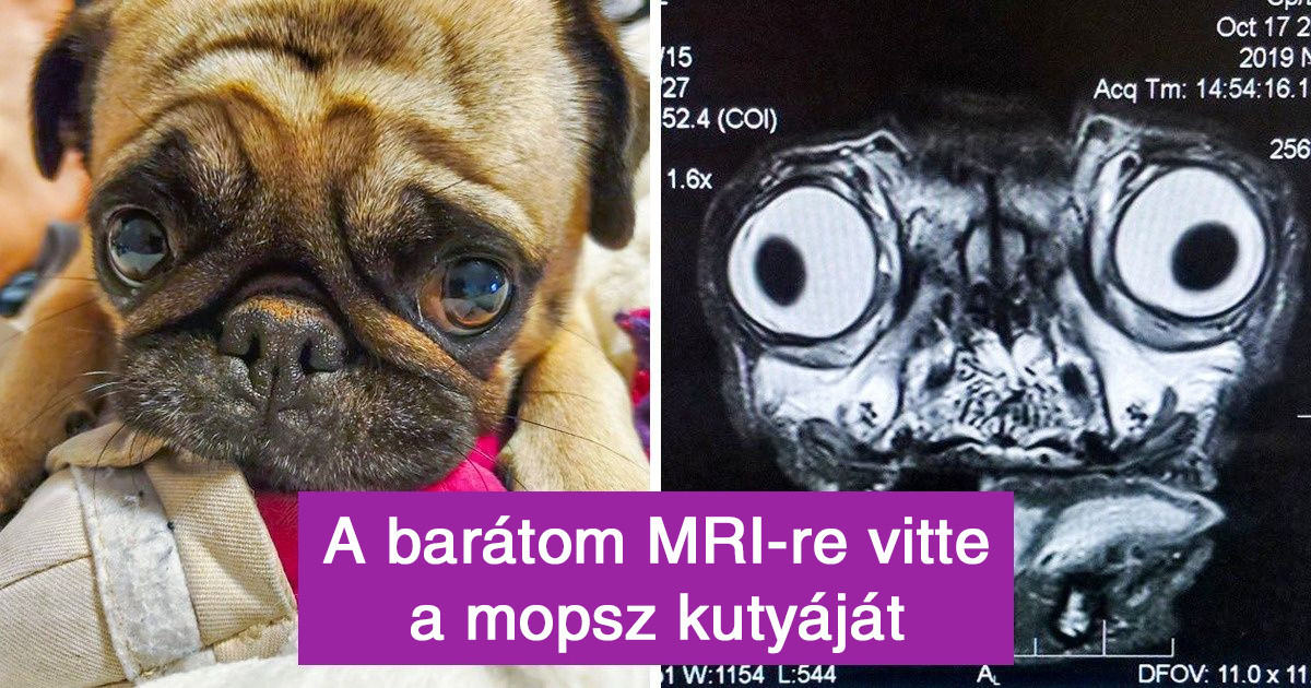 21 fotó, ami segít teljesen új szemszögből felfedezni a világot