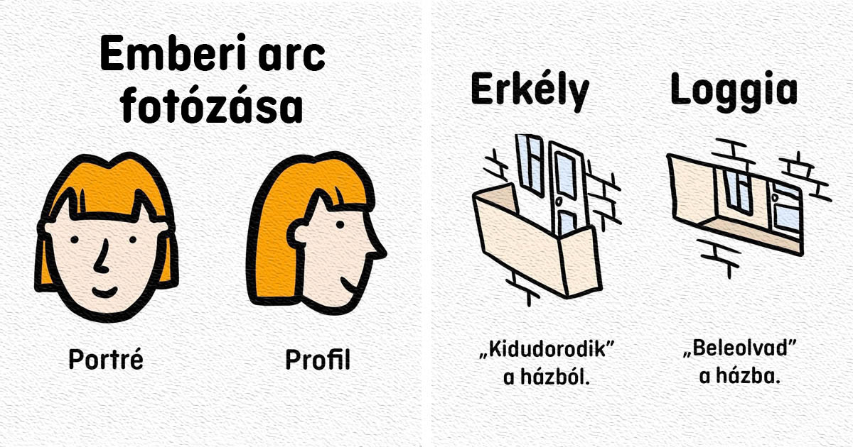 Ez a 14 rajz megmutatja a különbséget a gyakran összekevert dolgok és tárgyak között