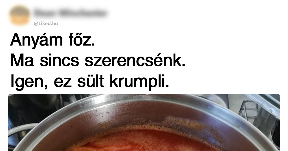 18 ember, akik nagyon szeretnek főzni, csak nem tudnak