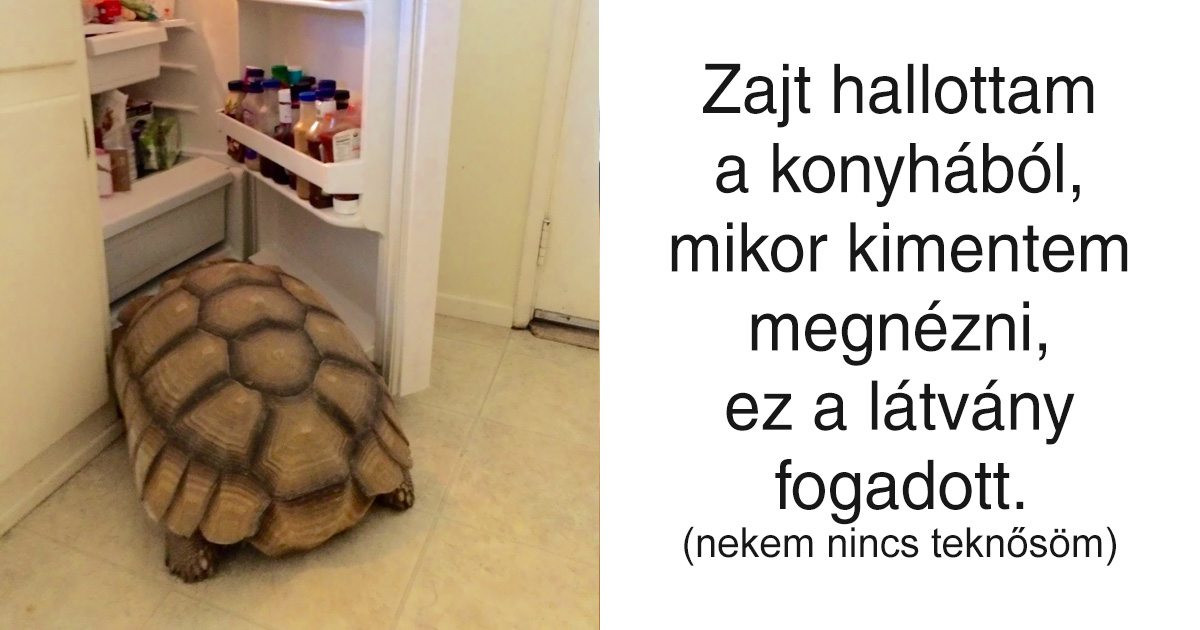20 ember, akit nem mindennapi látvány fogadott ébredéskor