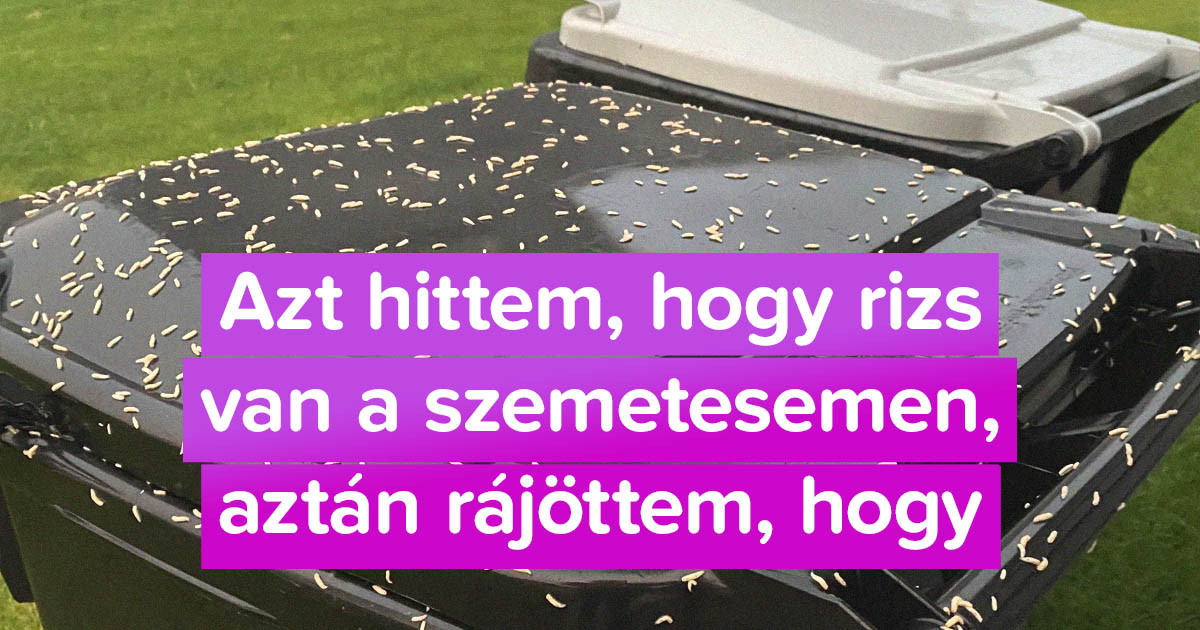 21 ember, akik hirtelen kételkedni kezdtek az "én házam az én váram" kifejezésben