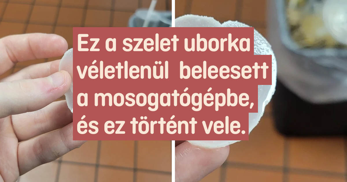 18 tanulságos fotó azoknak, akiket még mindig érdekel, hogy "Mi történik, ha…"