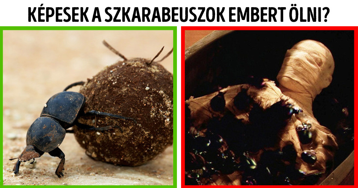 11 gyerekes kérdés, amire mindig is tudni akartad a választ, de sosem merted megkérdezni