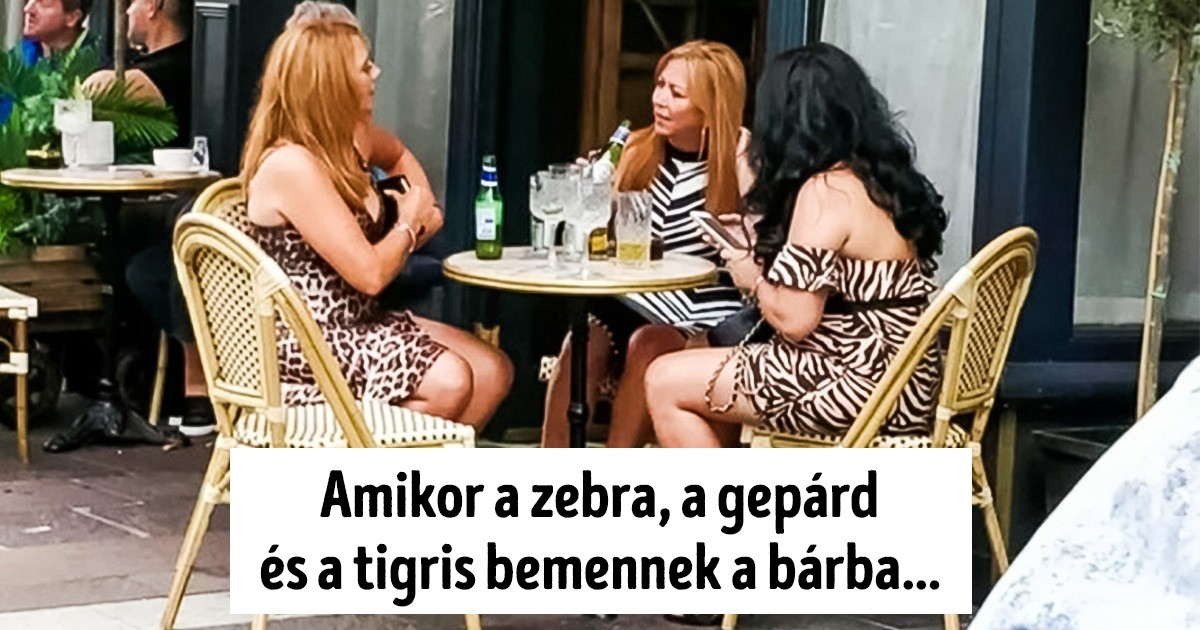 16 fotó, ami teljesen átlagos lenne, ha nem lenne mellette egy szellemes megjegyzés