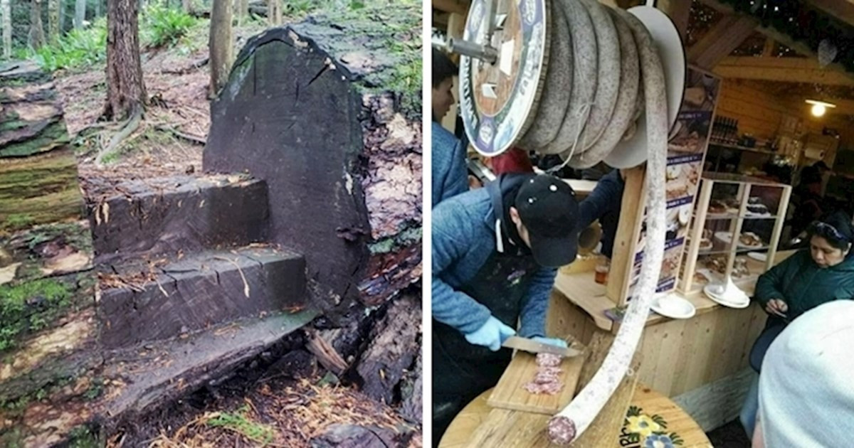 20 fotó, ami bizonyítja, hogy a világ tele van érdekes dolgokkal, amiket még nem láttunk