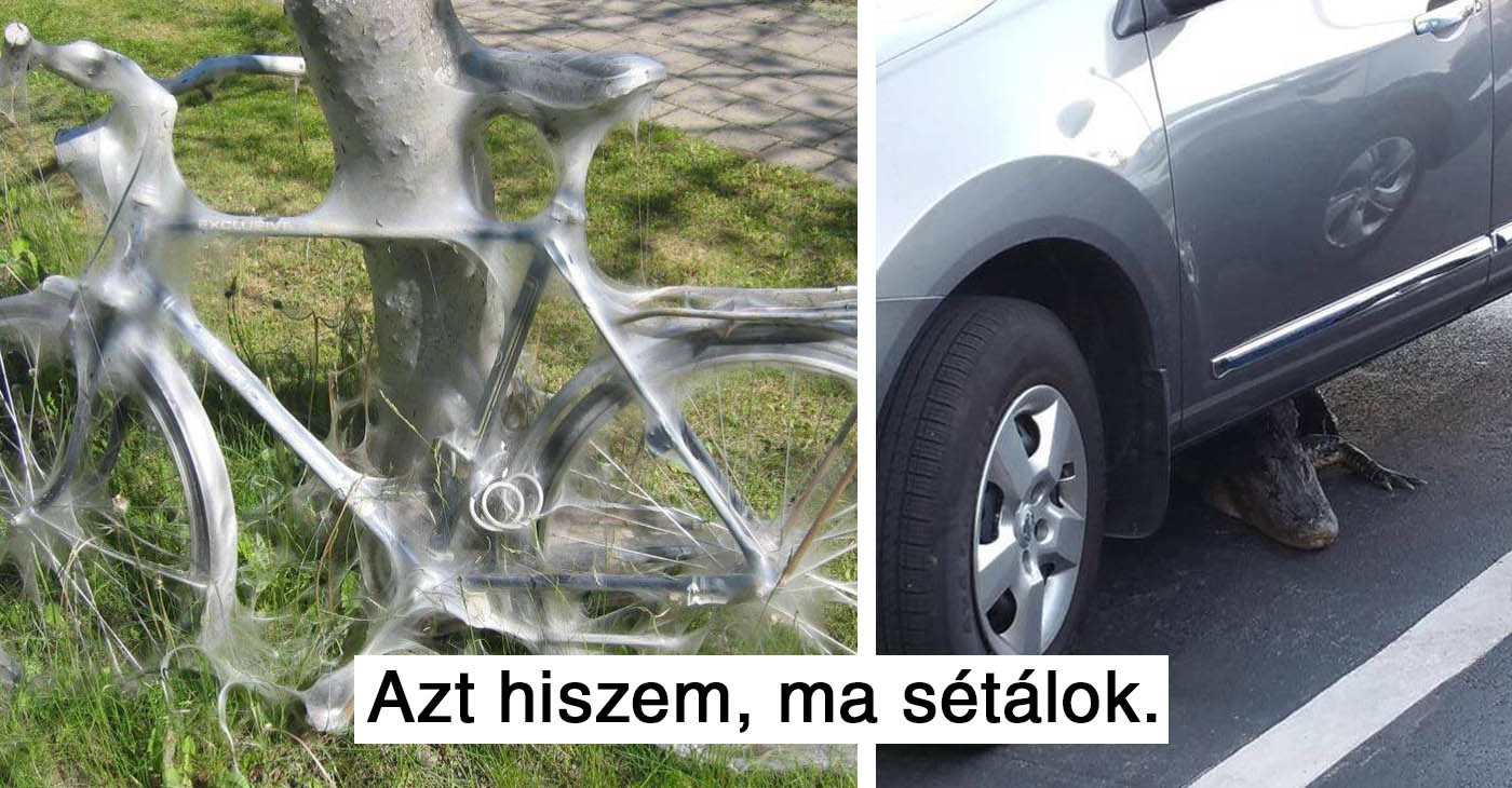 18 kiszámíthatatlan kudarc, amire nem lehetett felkészülni