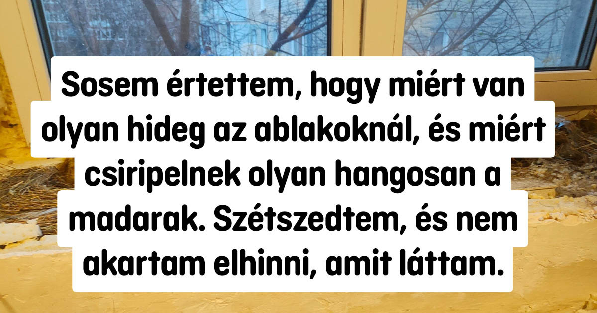 15+ fotó, amik kiváló illusztrációk lennének egy "Hogyan működik" című magazinban