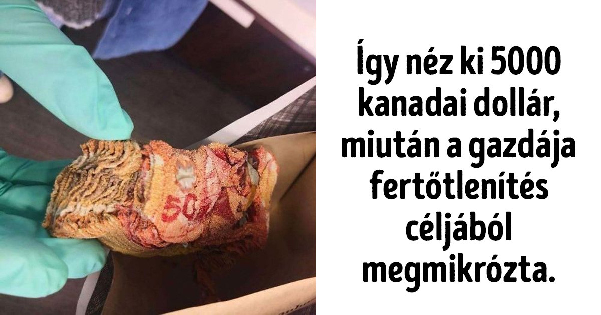 21 alkalom, amikor az emberek nagyon nagy hülyeséget csináltak a koronavírus alatt
