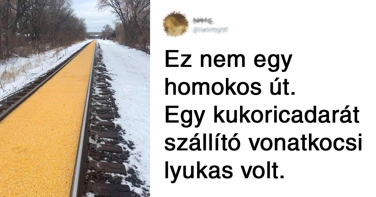 20+ fotó azok számára, akiknek sürgősen szükségük van valami nyugtató és pihentető dologra