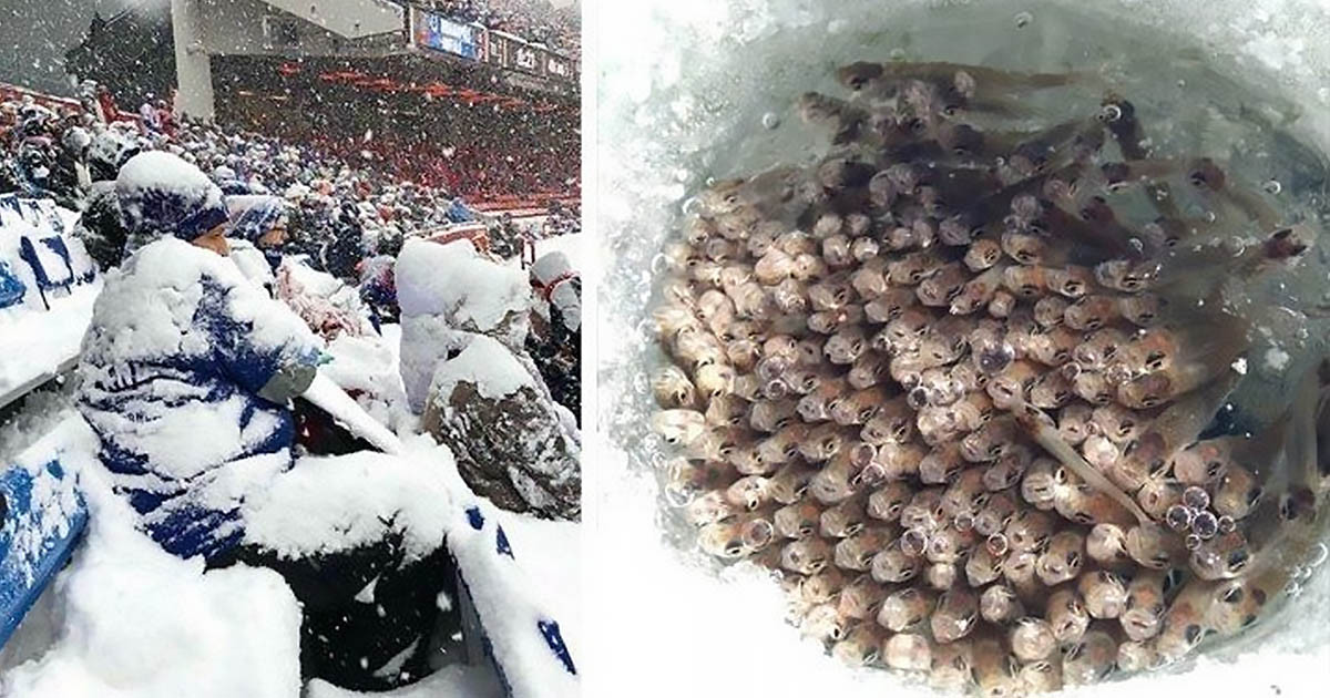 Így néz ki az igazi tél! 30+ fénykép, amitől kiráz a hideg