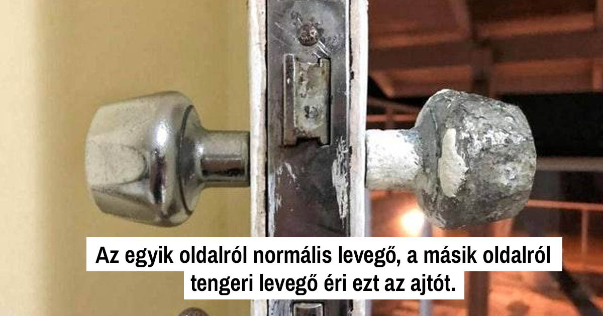 19 fotó, ami többet mesél a világról, mint az iskolai órák