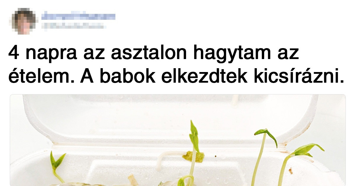 20 fotó, ami kiváló minőségű hamisítványnak tűnik, pedig teljesen valódi