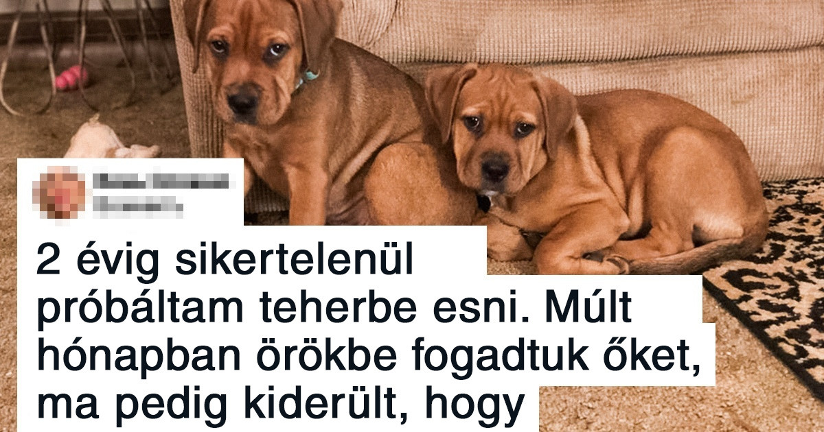 17 erőteljes fotó, amitől gyorsabbá válik a szívverés