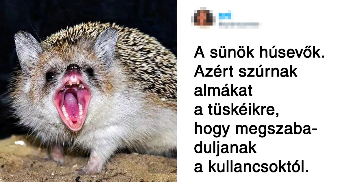 16 internetezők által tett felfedezés, amit nem lesz könnyű kiverni a fejünkből