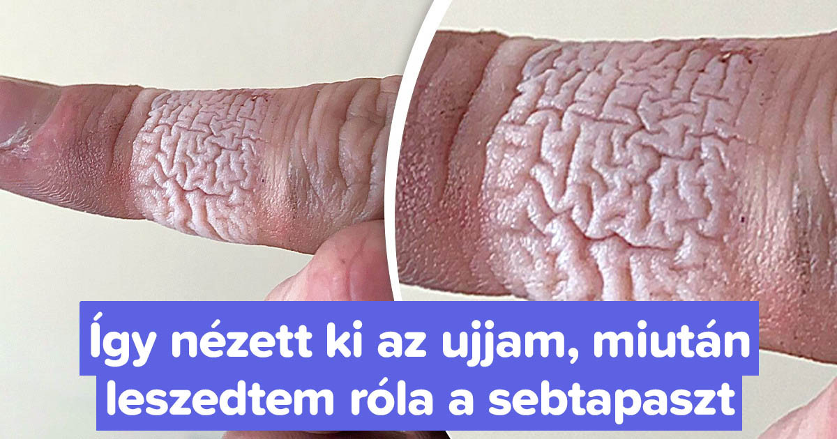 16 fotó mindennapi tárgyakról, érdekes szemszögből