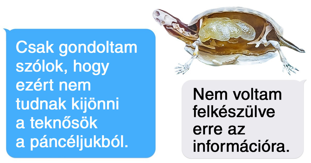 20+ fotó, ami felfedi előttünk, hogy milyen izgalmas titkokat rejtenek a leghétköznapibb dolgok