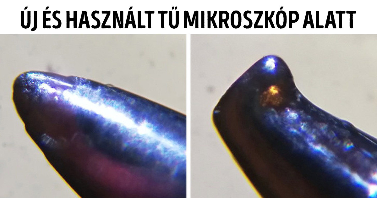 21 ritka fotó, ami többet mond a világunkról, mint egy Wikipédia cikk