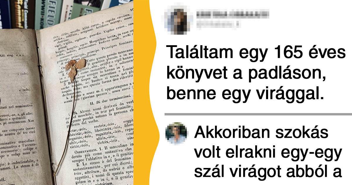 15+ ember megosztotta azokat a felfedezéseiket, melyek úgy meglepték őket, mint egy júliusi hóesés