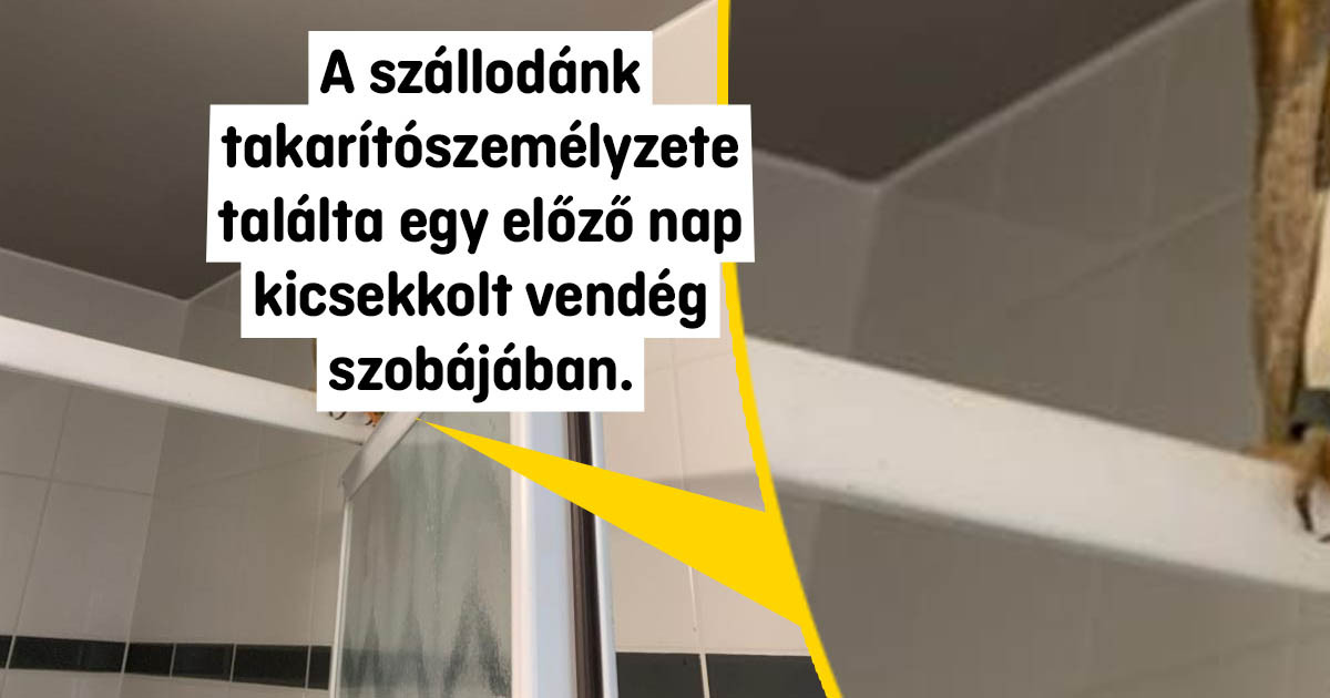17 ember, akiknek úgy tűnik, hogy nagyon hétköznapi munkájuk van. De csak első pillantásra