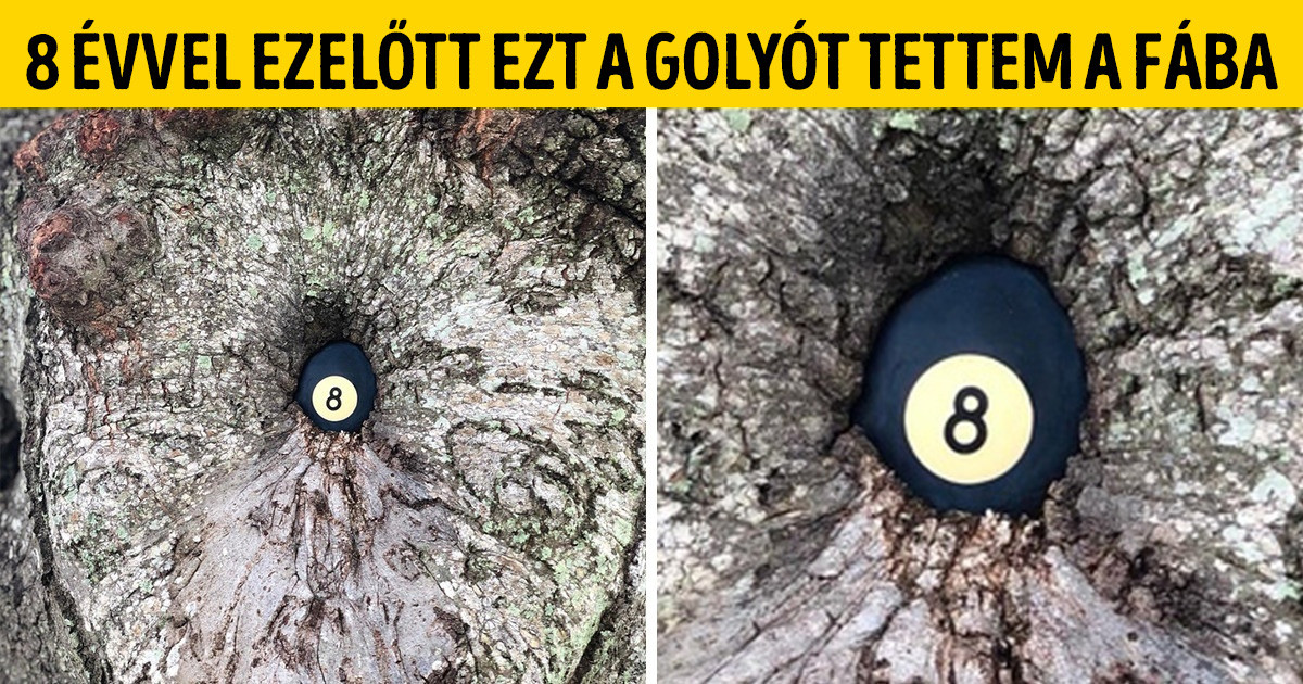 24 furcsa fotó, ami bizonyítja, hogy a világunk tele van csodákkal