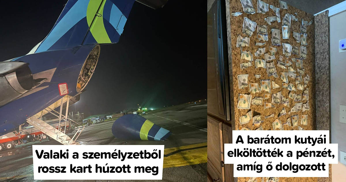 15 alkalom, amikor az emberek nem számítottak ilyen váratlan meglepetésre a sorstól