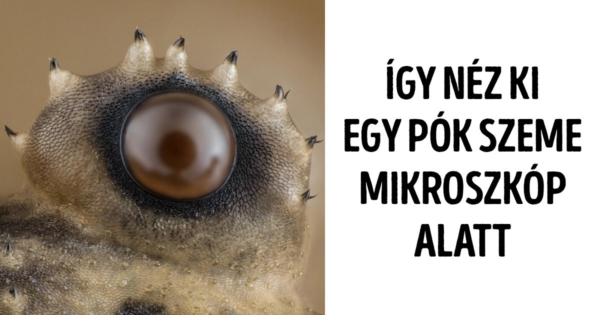 21 dolog, amit el sem tudunk képzelni mindaddig, míg nem látjuk a saját szemünkkel