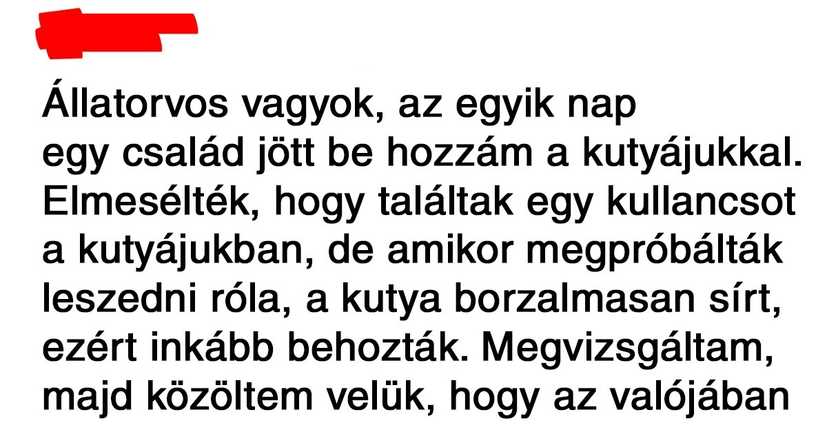 Az internetezők megosztották a legnagyobb hülyeségeket, amiket életükben hallottak