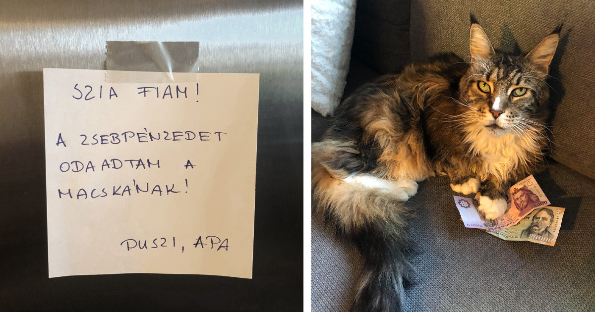 20 fotó, ami bizonyítja, hogy az apukák valójában olyanok, mint a rossz gyerekek