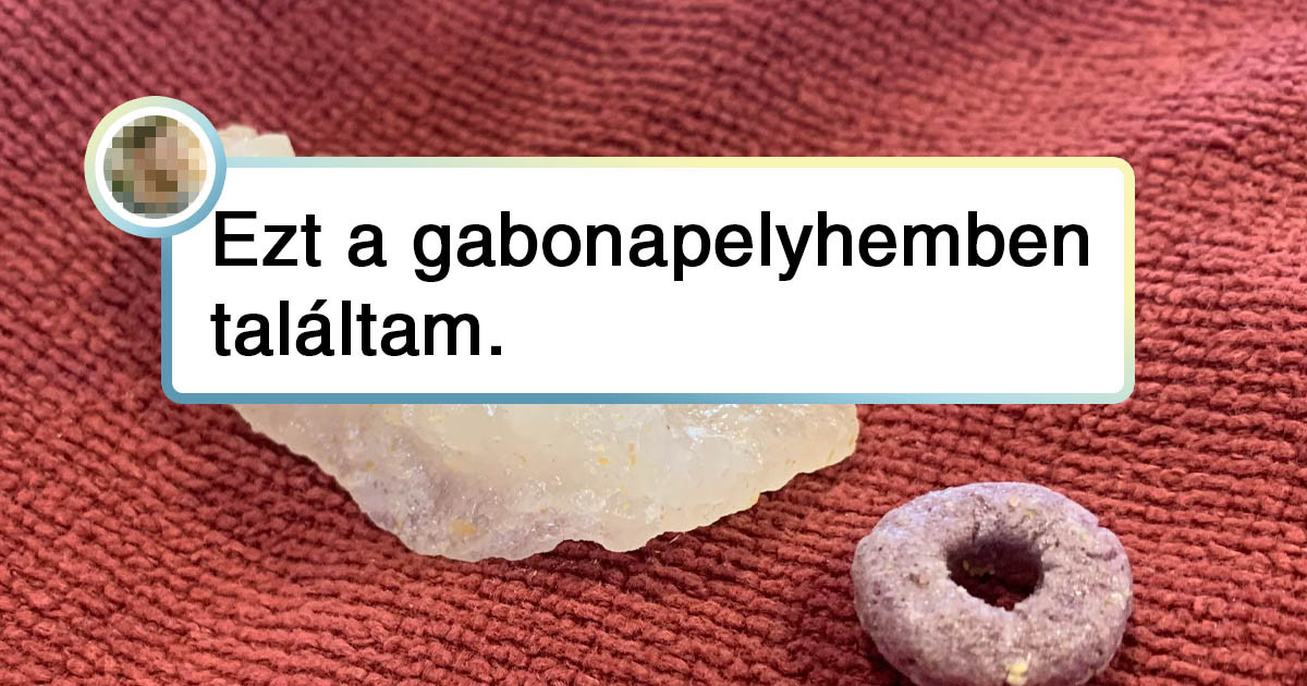 20 érdekes fotó, amik bizonyítják, hogy összehasonlítással mindent meg lehet tanulni