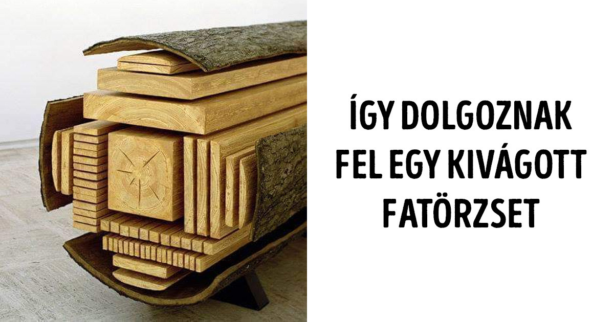21 félbevágott dolog, ami felfedi a világunk korábban sosem látott oldalát