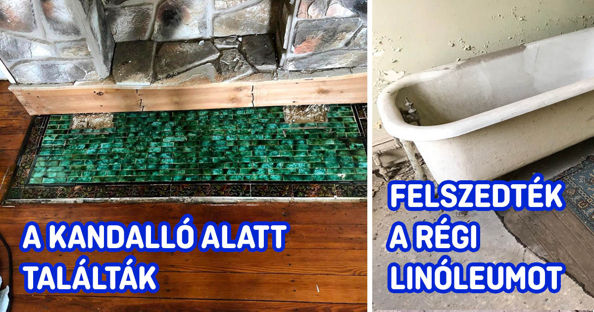 17 fotó, ami bizonyítja, hogy néha még a saját házunkban is váratlan meglepetésekben lehet részünk