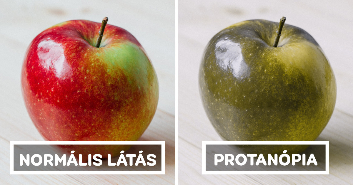 Így látják a világot a színvakság különféle típusaiban szenvedő emberek