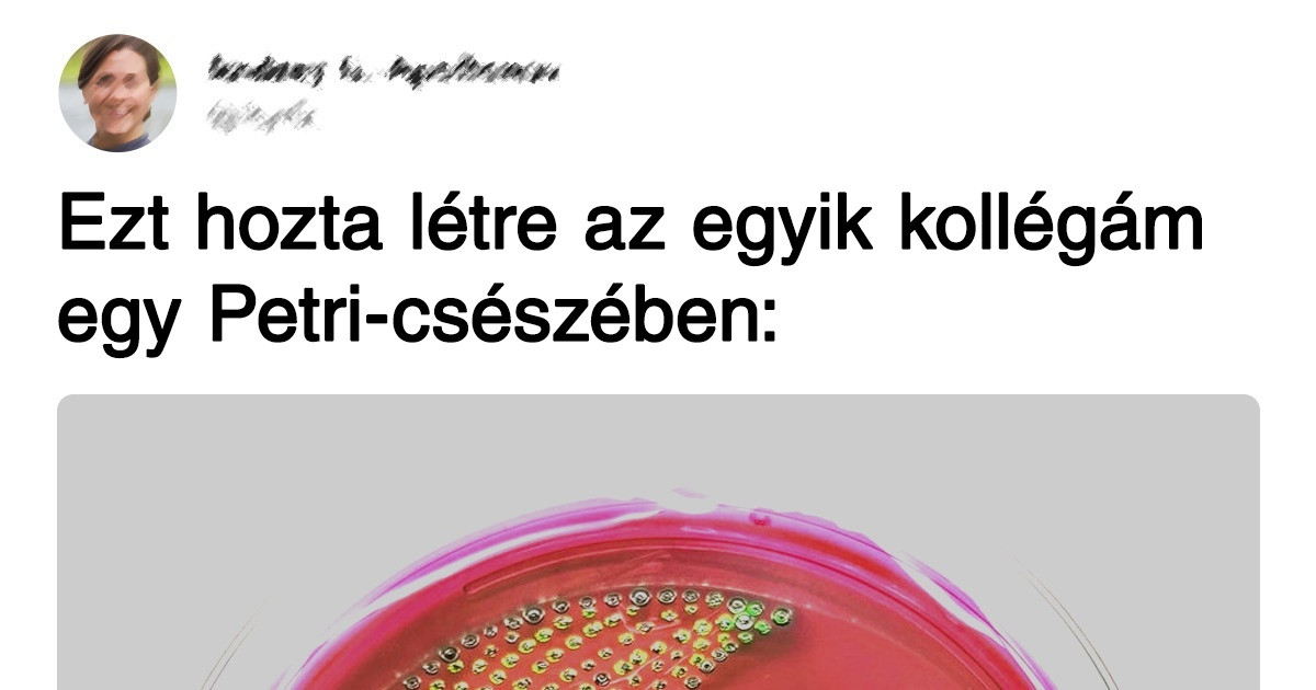 20+ fénykép, amin minden olyan mértékben tökéletes, hogy az már hihetetlen
