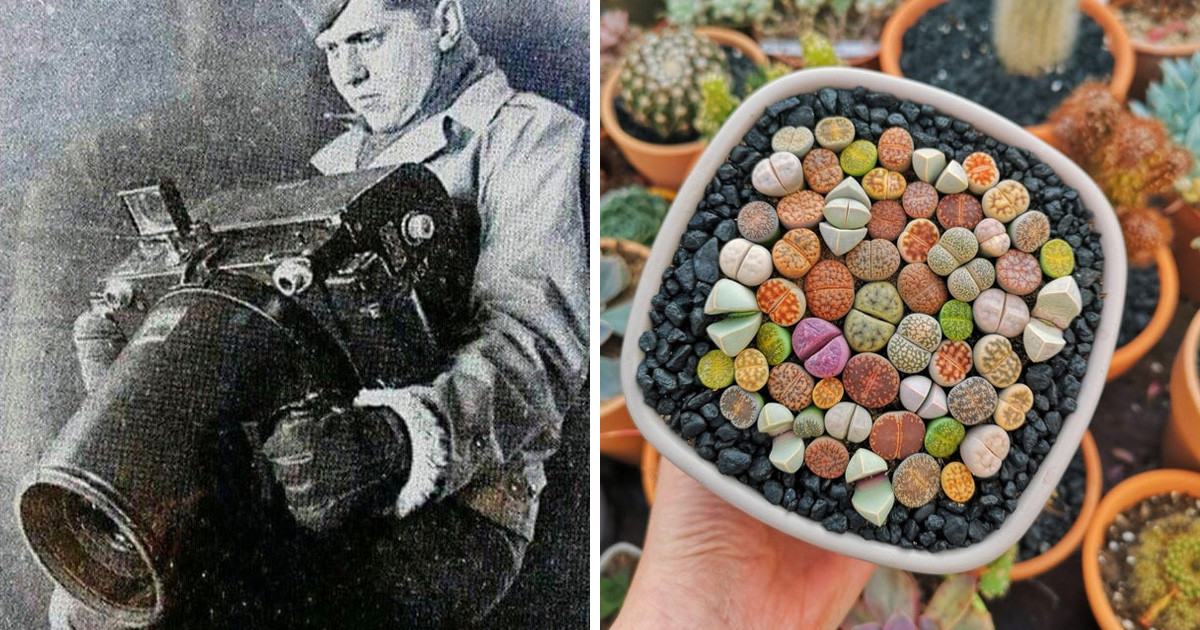 21 ritka és lenyűgöző fotó azoknak, akik szeretik a váratlan meglepetéseket
