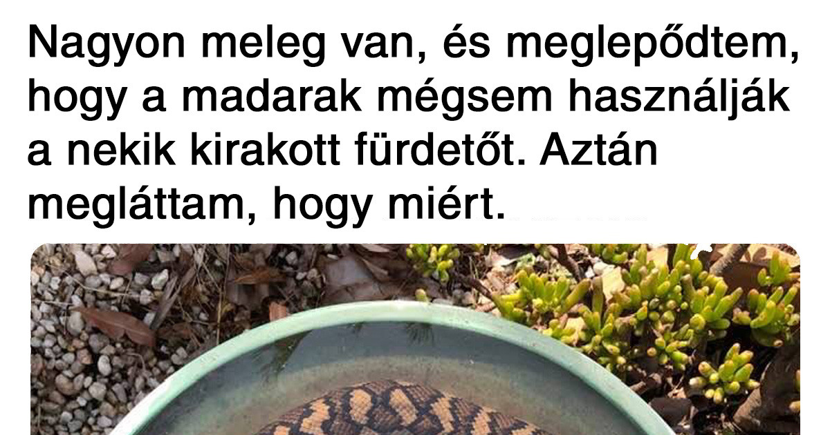 18 ok, amiért nagyon szeretjük Ausztráliát, de csak távolról