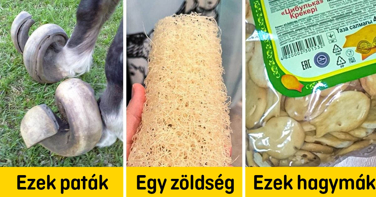 18 tény a mindennapi dolgokról, ami felrázza az agyadat