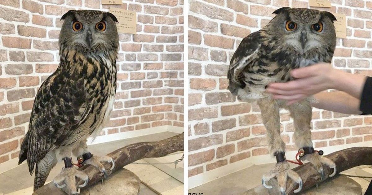 21 fotó, ami segít megmutatni, hogyan is működik a világunk