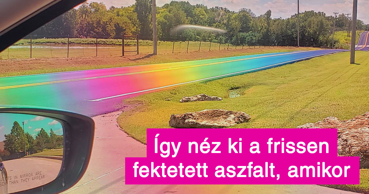 16 fotó azoknak, akiket rég ért már váratlan meglepetés a világ dolgaival kapcsolatban