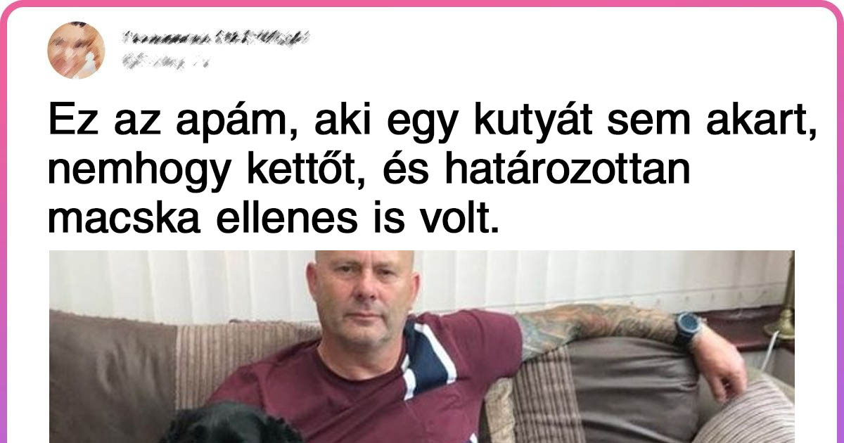 20 férfi, aki egykoron teljesen a háziállatok ellen volt, de ma már nem tudnának élni nélkülük