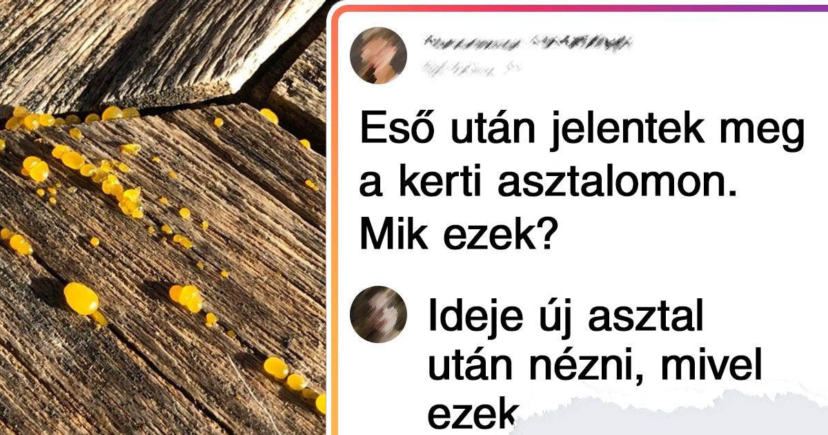 17 rejtélyes felfedezés, aminek a furcsasága minden ésszerű határt felülmúl