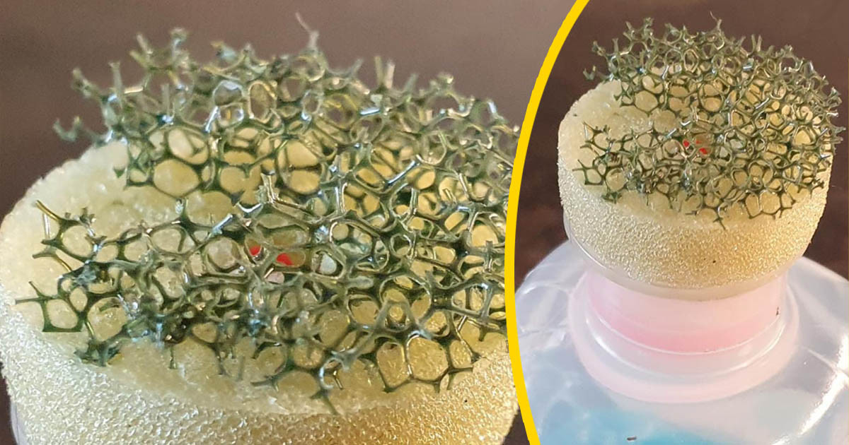 19 fotó, ami örök rejtély marad számodra, ha nem olvasod el a hozzá mellékelt megjegyzést