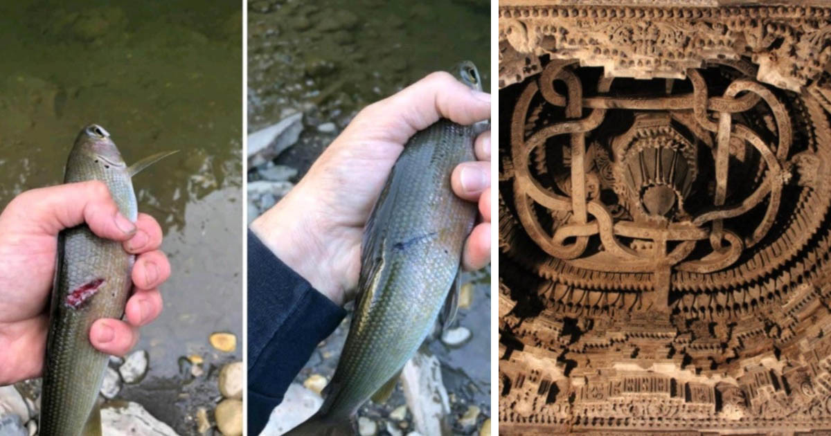 19 lenyűgöző fotó ritka tárgyakról és helyekről