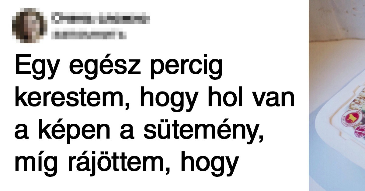 20+ sütemény, ami olyan tökéletesre sikerült, hogy sajnálnánk őket megenni