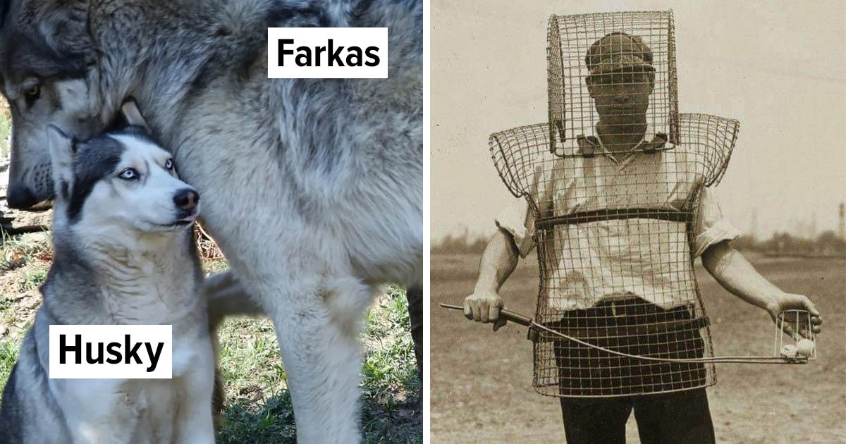 18 lenyűgöző fotó szokatlan dolgokról