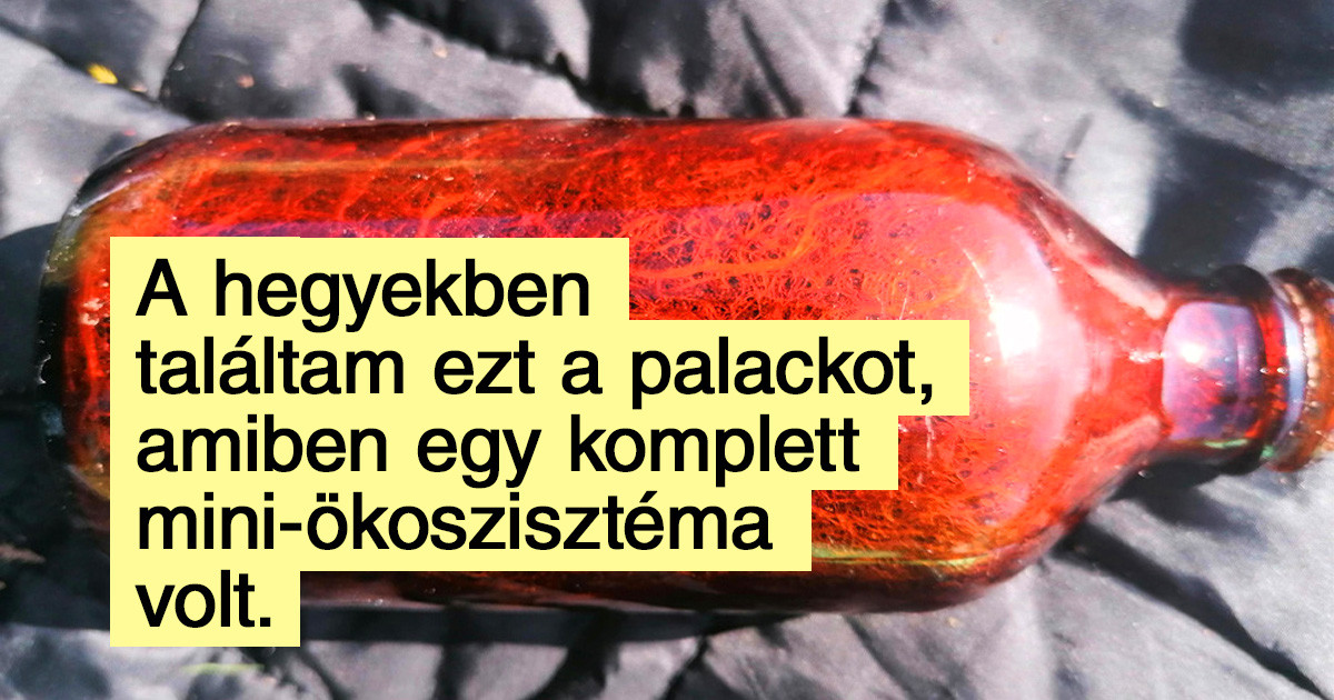 21 különleges dolog, amire teljesen véletlenül bukkantak az internetezők, és rohantak eldicsekedni vele