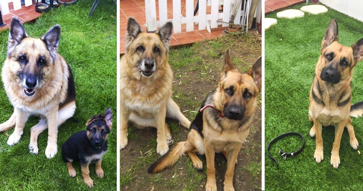 20 fotó, ami jól mutatja, hogy mennyire könyörtelen az idő múlása