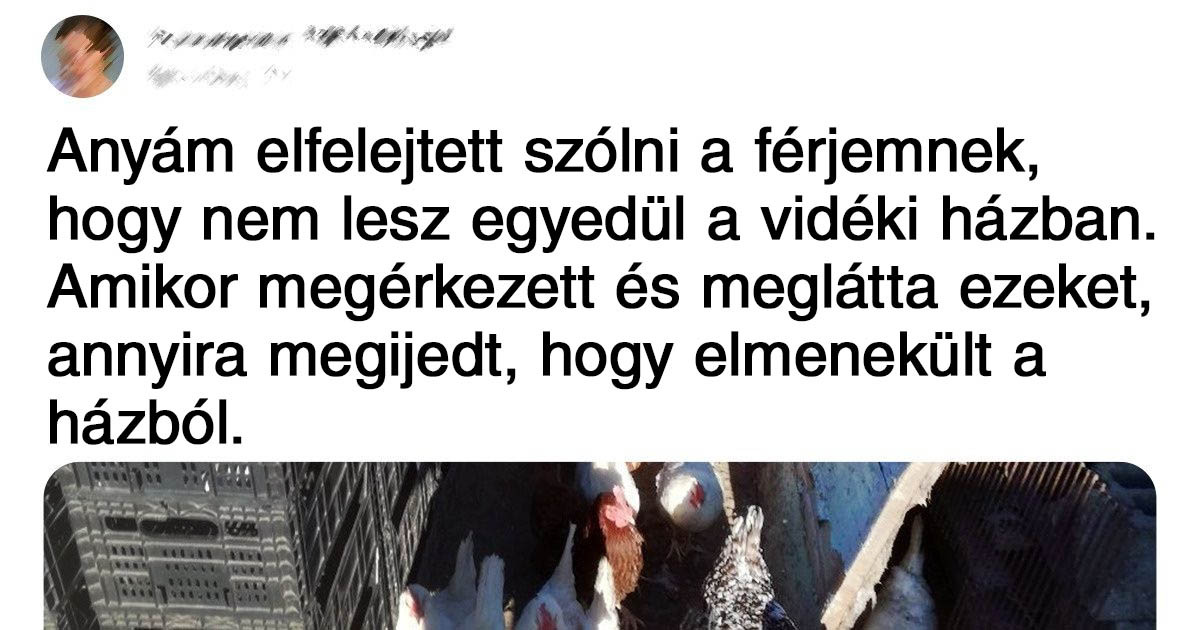 20 bizonyíték rá, hogy a városon kívüli élet egy bátor új világ, tele különlegességekkel
