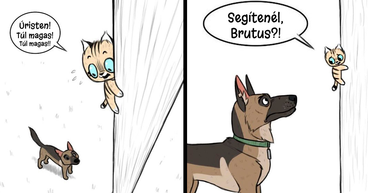 5 új képregény a világ legédesebb állat-duójáról, Pixie-ről és Brutus-ról