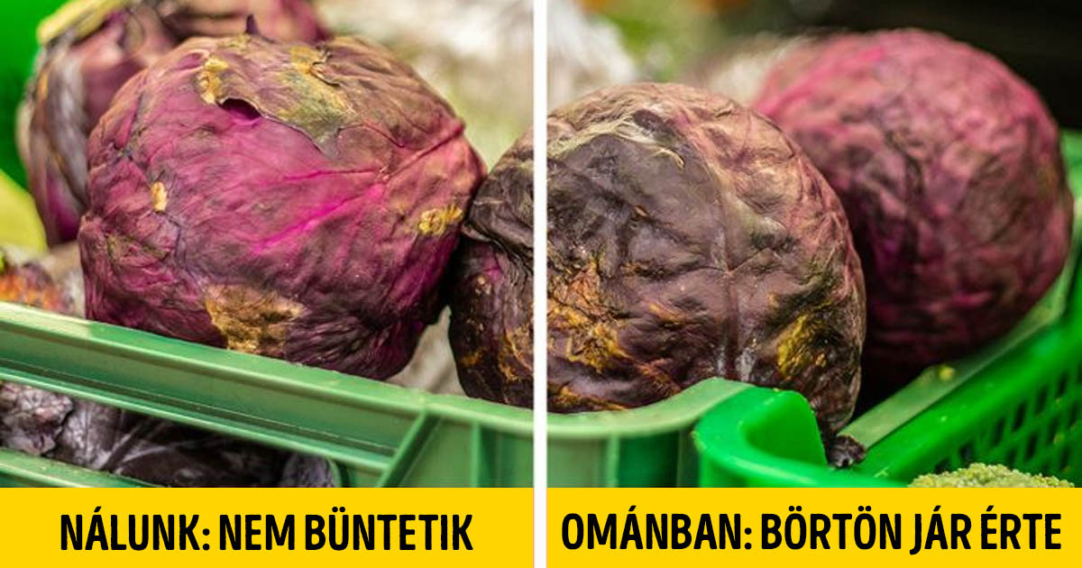 20+ tény Ománról, az országról, ahol törvény tiltja a haragvást és bírság jár, ha koszos autóval közlekedsz