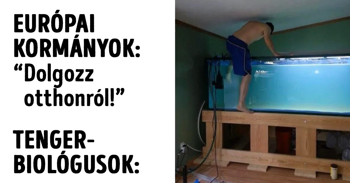 21+ "home office" mém, amit az otthonról nem elvégezhető munkát végző emberek készítettek